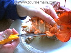Cuire et décortiquer le homard - étape 3
